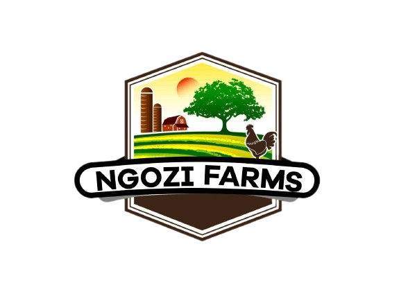 NGOZI FARMS